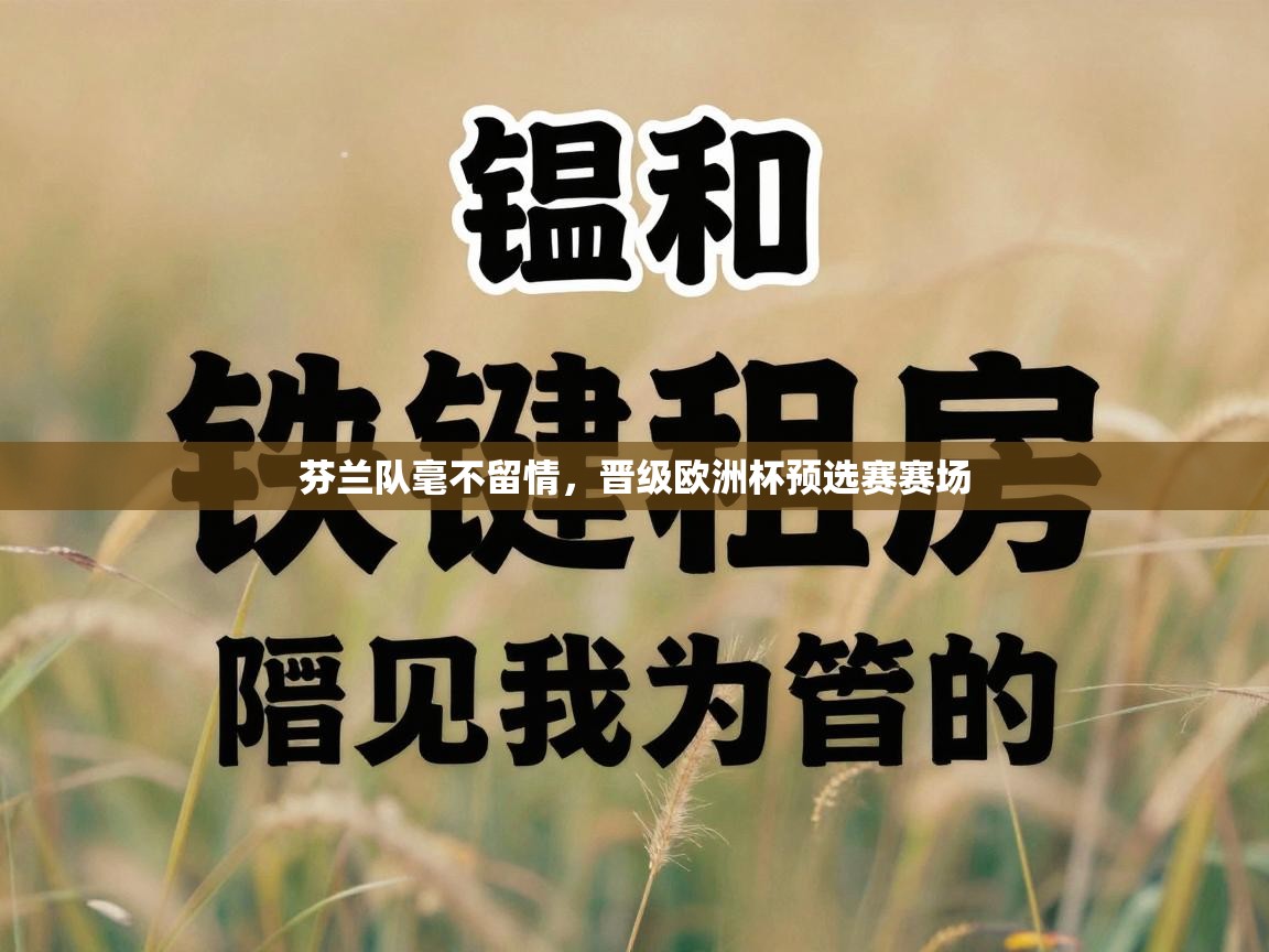 芬兰队毫不留情，晋级欧洲杯预选赛赛场  第1张